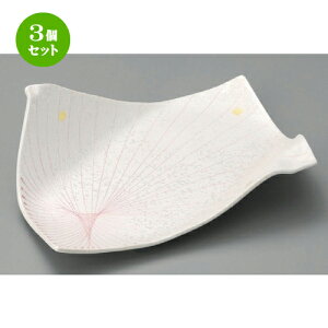 3Zbg ό`M  sN꒿X^[8.5܎M [ 265 x 193 x 85mm ] | ό`M M aM lC  H Ɩp HX JtF    Mtg v[g o j 