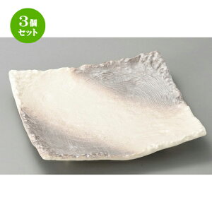 3Zbg ݌ÏđM  ݎu10.0lcpM [ 310 x 310 x 53mm ] | 傫 M M M M lC  pX^M p[eB[ H Ɩp HX JtF   Mtg v