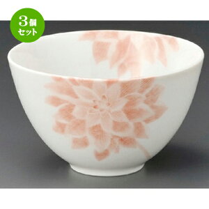 3�Z�b�g�� ���p�� �� �_���A���p�q [ 120 x 70mm ] | ���p�� �T���_ �˗� �X�[�v �H�� �Ɩ��p ���H�X �J�t�F ���� �� ������� ���킢�� ������ ���� �M�t�g �v���[���g �����o�� ���j�� ����