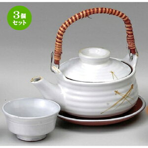 3Zbg tؗyrނ [ 250cc ] | yr yrނ  }c^P  lC  H Ɩp HX JtF    킢 Mtg v[g a 蕨 
