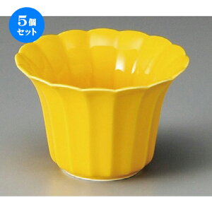 5Zbg   ֋e^ [ 107 x 73mm ] |     {E \ lC  H Ɩp HX JtF    킢 Mtg v[gj j