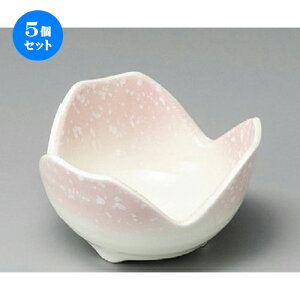 5Zbg    sNR3.3 [ 102 x 58mm ] |     {E \ lC  H Ɩp HX JtF    킢 Mtg v[gj 