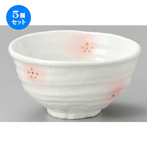 5Zbg   WsN4.0 [ 130 x 125 x 70mm ] | Ԃ JtF  [  ǂ {E H Ɩp HX JtF    킢 Mtg v[g a