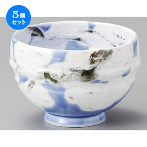 5Zbg   u[^5.0 [ 155 x 107mm ] | Ԃ JtF  [  ǂ {E H Ɩp HX JtF    킢 Mtg v[g a 