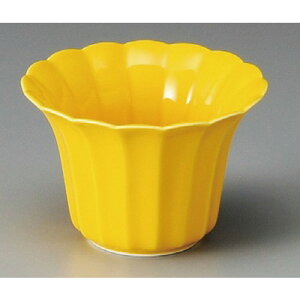    ֋e^ [ 107 x 73mm ] |     {E \ lC  H Ɩp HX JtF    킢 Mtg v[gj j a 