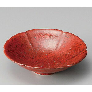  t  gMq։،t [ 155 x 45mm ] | aH   {E   ze H Ɩp HX JtF    킢 Mtg v[g j a 蕨 i 