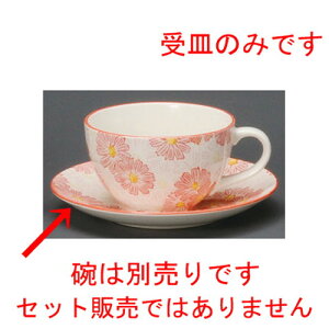  R[q[g  ؁XsNR[q[M [ 145 x 20mm ] | R[q[ Jbv eB[ g i lC  H mH Ɩp HX JtF    킢 Mtg v[