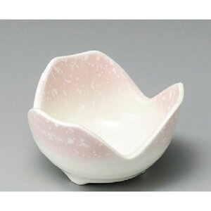    sNR4.0 [ 120 x 70mm ] |     {E \ lC  H Ɩp HX JtF    킢 Mtg v[gj j a