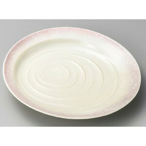  ێM  sNg9M [ 265 x 250 x 43mm ] | 傫 M M M M lC  pX^M p[eB[ H Ɩp HX JtF   Mtg v[ga 蕨 