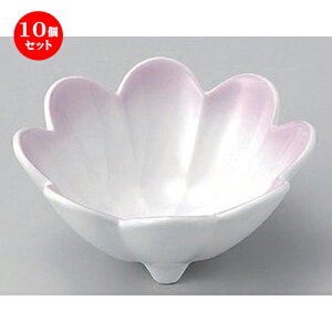 10Zbg  e [ 12 x 5.5cm 215g ] |     {E \ lC  H Ɩp HX JtF    킢 Mtg v[gj j 