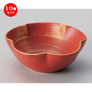 10Zbg  ֋ʍіډQԌ^ [ 12.8 x 5cm 200g ] |     {E \ lC  H Ɩp HX JtF    킢 Mtg v[g