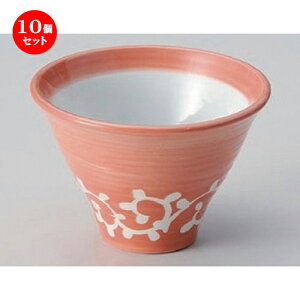 10Zbg  4Zq [ 12 x 8cm 240g ] |     {E \ lC  H Ɩp HX JtF    킢 Mtg v[gj 