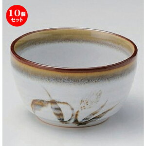 10Zbg g Vڔ4.0 [ 12.2 x 7.2cm 320g ] |     {E \ lC  H Ɩp HX JtF    킢 Mtg v[gj 