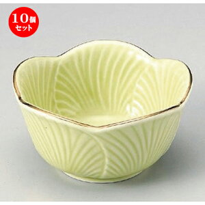 10Zbg  g qt^ () [ 10 x 5cm 190g ] |     {E \ lC  H Ɩp HX JtF    킢 Mtg v[gj