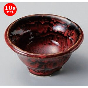 10Zbg t ԗMq () [ 10.5 x 5.5cm 238g ] | aH   {E  ze H Ɩp HX JtF    킢 Mtg v[g j a 蕨 