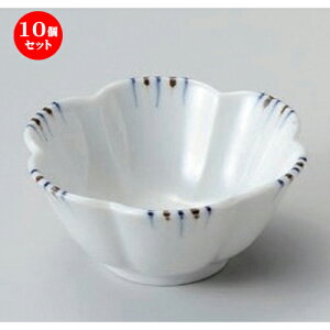 10Zbg t F\Ԍ^t [ 9.3 x 4.2cm 90g ] | aH   {E  ze H Ɩp HX JtF    킢 Mtg v[g j a 