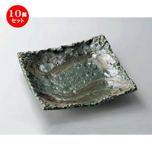 10Zbg ݌ÏđM D10.0lcpM [ 31 x 31 x 5.3cm 1500g ] | 傫 M M M M lC  pX^M p[eB[ H Ɩp HX JtF   Mtg v[