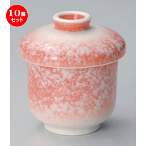 10Zbg ނq /ԔVq () [ 7.5 x 8.5cm (140cc) 180g ] | q ނ  i q ނq H Ɩp HX  킢 Mtg v[g o a 