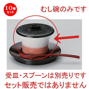 10Zbg ނq /n^ԊVq () [ 8.8 x 6cm (120cc) 140g ] | q ނ  i q ނq H Ɩp HX  킢 Mtg v[g o a 