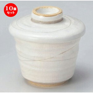 10Zbg ނq /ނq [ 8.1 x 9.1cm (155cc) 277g ] | q ނ  i q ނq H Ɩp HX  킢 Mtg v[g o a 