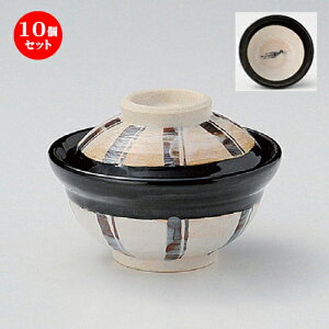 10Zbg ϕq DW [ 11 x 7.9cm 290g ] | ϕ   B q lC  H Ɩp HX JtF    킢 Mtg v[g o a 