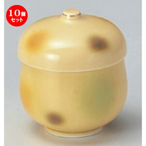 10Zbg ނq /AXJOFނq () [ 6.4 x 8.5cm (130cc) 175g ] | q ނ  i q ނq H Ɩp HX  킢 Mtg v[g o a