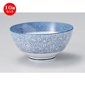 10Zbg p ^R혥 [ 16 x 7.9cm 494g ] | Dݘ Ԃ JtF  [  ǂ {E H Ɩp HX JtF    킢 Mtg v[g 