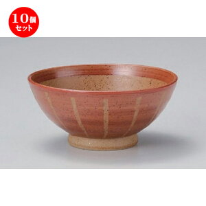10Zbg јq gNT ()  [ 12.1 x 5.3cm 160g ] |  q јq ђq  lC  H Ɩp HX JtF    킢 Mtg v[g 