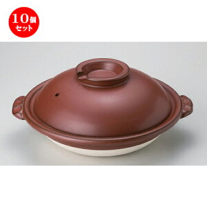 10Zbg Xb| S6Xb| [ 22 x 19 x 8cm 800g ] | lC  H mH Ɩp HX JtF    킢 Mtg v[g a HZbg