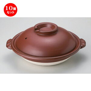 10Zbg Xb| S10Xb| [ 35 x 31 x 14cm 3100g ] | lC  H mH Ɩp HX JtF    킢 Mtg v[g a HZbg