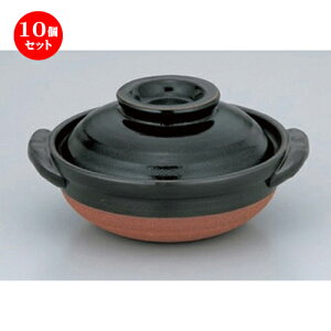 10Zbg ȓ MqV5.5 [ 19.5 x 17 x 10cm 830g ] | lC  H mH Ɩp HX JtF    킢 Mtg v[g a HZbg