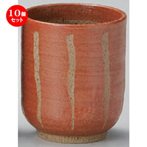 10Zbg g gNT ()  () [ 6.5 x 7.6cm (170cc) 100g ] | lC  H mH Ɩp HX JtF    킢 Mtg v[g a HZbg