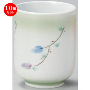 10Zbg g ꒿ԓa () [ 6.2 x 8.5cm (180cc) 160g ] | lC  H mH Ɩp HX JtF    킢 Mtg v[g a HZbg