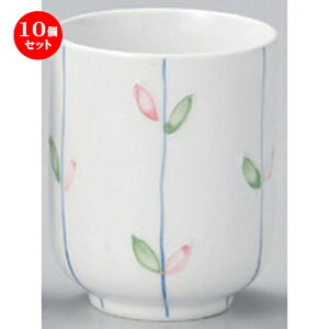 10Zbg g ꒿蓒 () [ 6.1 x 7.8cm (150cc) 140g ] | lC  H mH Ɩp HX JtF    킢 Mtg v[g a HZbg