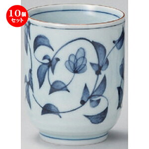 10Zbg g ԓ^^ () [ 6.5 x 8.1cm (180cc) 128g ] | lC  H mH Ɩp HX JtF    킢 Mtg v[g a HZbg