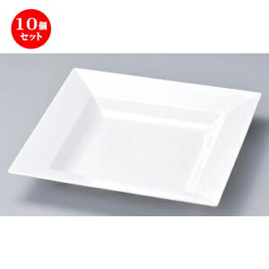 10Zbg zO  (M) p  46cm [ 46 x 46 x 7.3cm 2185g ] | ~ Ȃ H  АH wH H a@   lC Ɩp HX JtF    킢