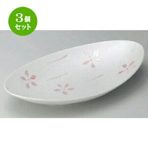 3Zbg ȉ~ X^[sNԑȉ~ [ 31 x 17.5 x 6cm 750g ]|  pX^M 蔫 {E 傫  H Ɩp HX JtF   Mtg v[g j j a