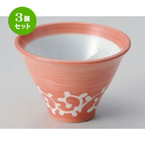 3Zbg  4Zq [ 12 x 8cm 240g ] |     {E \ lC  H Ɩp HX JtF    킢 Mtg v[gj 