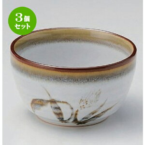 3Zbg g Vڔ3.6 [ 10.5 x 6.5cm 258g ] |     {E \ lC  H Ɩp HX JtF    킢 Mtg v[gj 