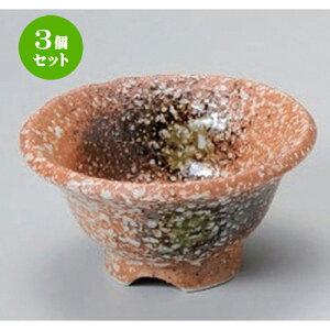 3Zbg t Ft [ 10.5 x 5.5cm 189g ] | aH   {E  ze H Ɩp HX JtF    킢 Mtg v[g j a 蕨 