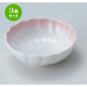 3Zbg ԓ sNlWe^ [ 11.5 x 4cm 157g ] |     {E \ lC  H Ɩp HX JtF    킢 Mtg v[gj 