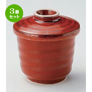 3Zbg ނq /gނq [ 8.5 x 7.2cm (200cc) 194g ] | q ނ  i q ނq H Ɩp HX  킢 Mtg v[g o a 蕨 i