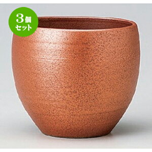 3Zbg t[Jbv  () Jbv [ 9.5 x 8cm (320cc) 170g ] | t[Jbv ^u[ Jbv Rbv r[    o[ bar ӎ lC  H Ɩp HX Jt