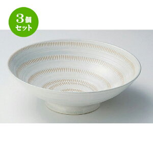 3Zbg ˎM Ji8 [ 24.5 x 8cm 946g ] | Θ ǂ [ ǂԂ  蔫 H Ɩp HX JtF    킢 Mtg v[g o j 