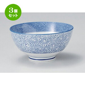 3Zbg p ^R혥 [ 16 x 7.9cm 494g ] | Dݘ Ԃ JtF  [  ǂ {E H Ɩp HX JtF    킢 Mtg v[g 