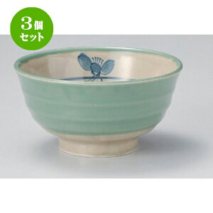 3Zbg p qXC~փ5.5p [ 17 x 9cm 583g ] | Dݘ Ԃ JtF  [  ǂ {E H Ɩp HX JtF    킢 Mtg v