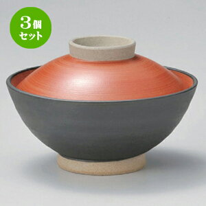 3Zbg 咃 h咃 [ 14.6 x 9.3cm 440g ] | Ђ Ԃ JtF  Ђ  ǂ {E H Ɩp HX JtF    킢 Mtg v[g a