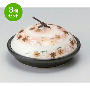 3Zbg ȓ ։ԗVr [ 17 x 7cm 595g ] | lC  H mH Ɩp HX JtF    킢 Mtg v[g a HZbg