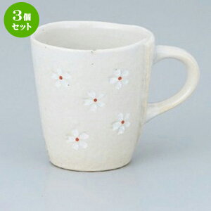 3Zbg }OJbv ԃ}O () [ 12.5 x 8.7 x 9.5cm 240g ] | }O }OJbv R[q[ g eB[ lC  H mH Ɩp HX JtF    킢 Mt