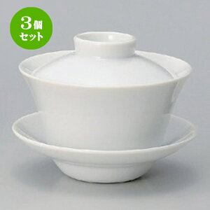 3Zbg ؏ yC () [ 11.3 x 10.2 x 9cm (200cc) 285g ] |  G   ꕞ [ lC  H  ѓX ؐH Ɩp HX JtF    